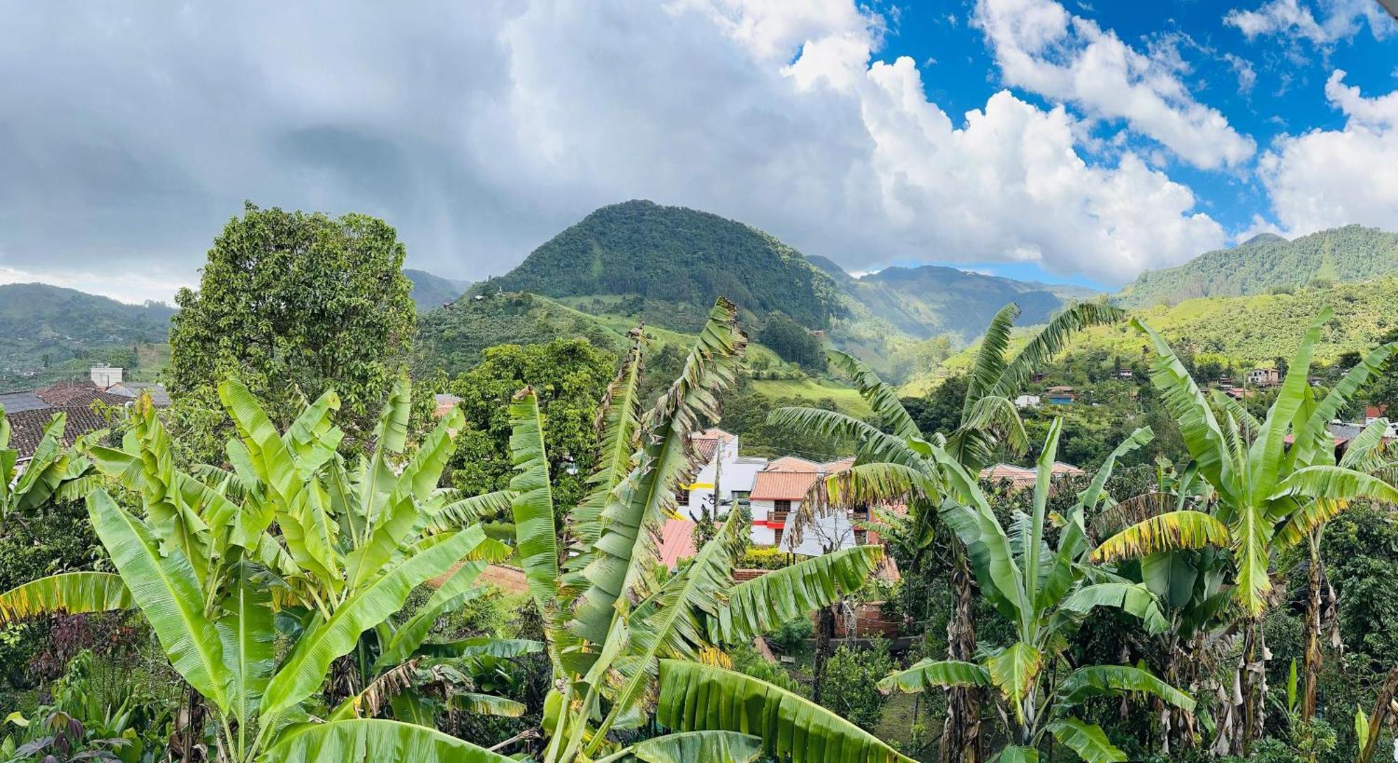 La Casa De Las Flores Hostal Jardín Kültér fotó